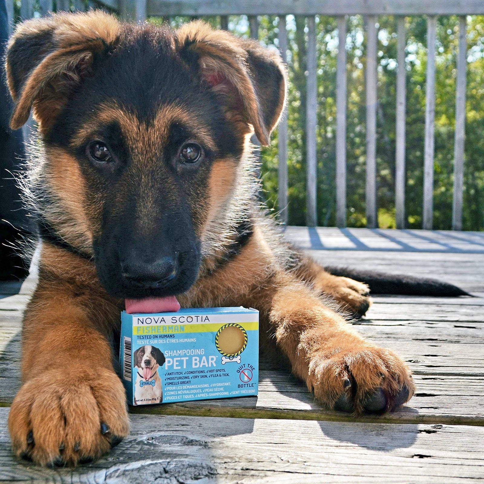 Travel Pet Bar - Dog Shampoo Bar