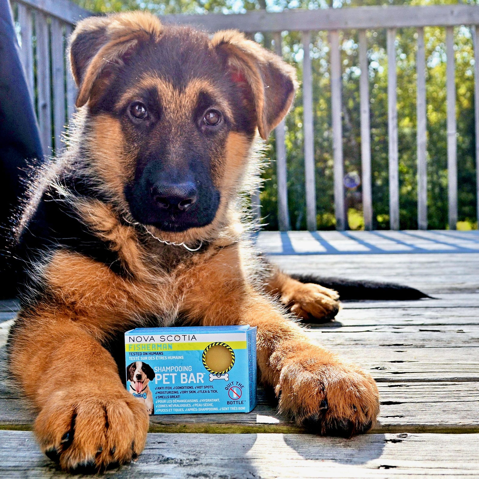Travel Pet Bar - Dog Shampoo Bar