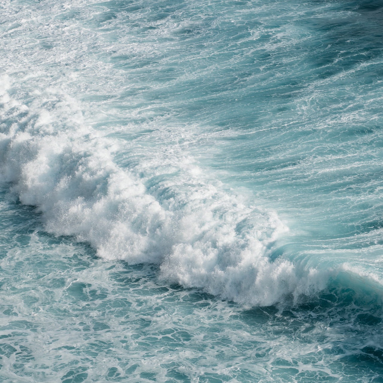 Body Lotion · Seabuckthorn & Shea · 240ml