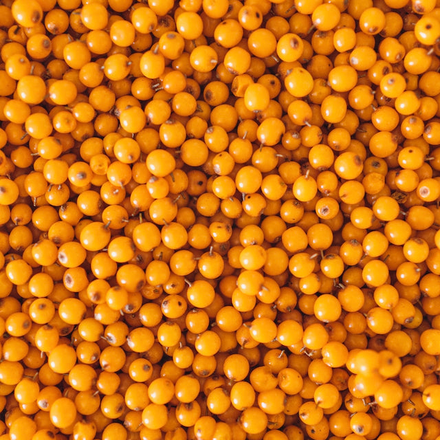 Body Scrub - Original