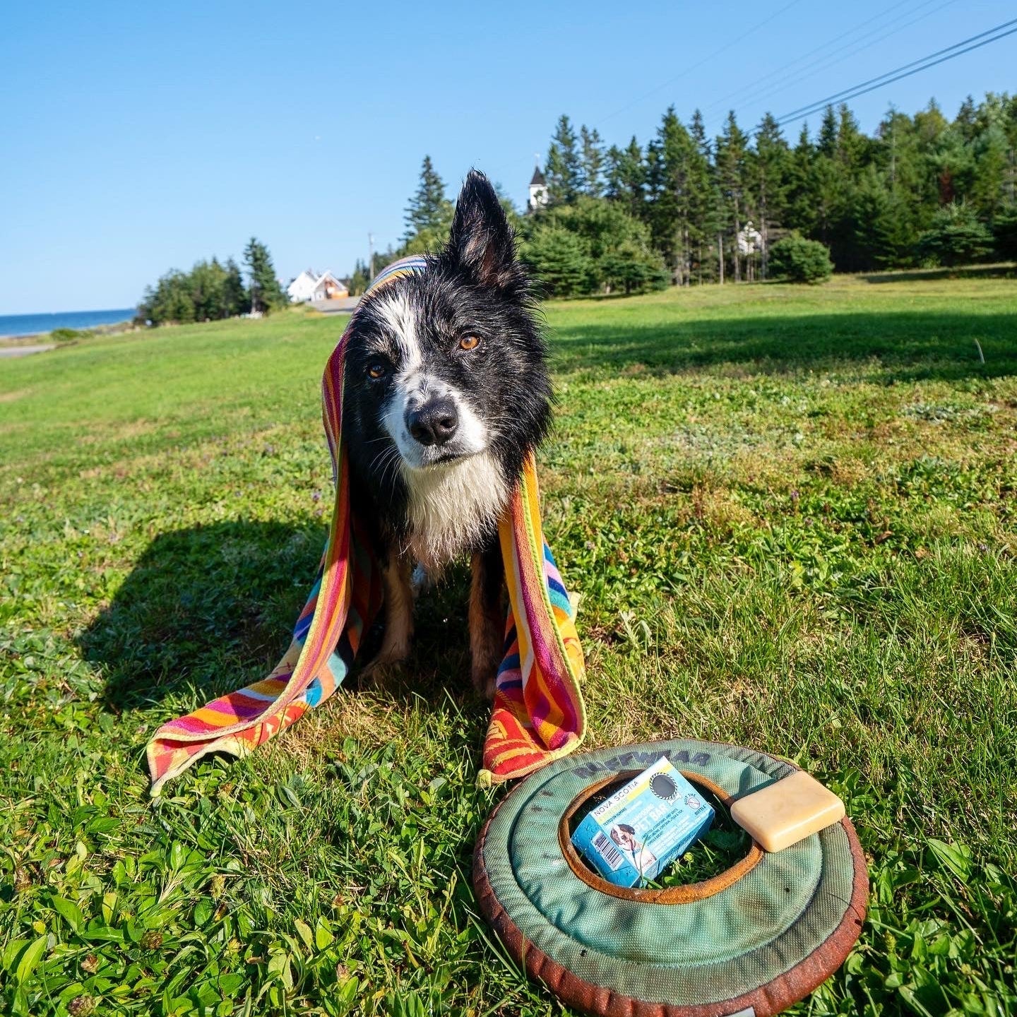 Travel Pet Bar - Dog Shampoo Bar