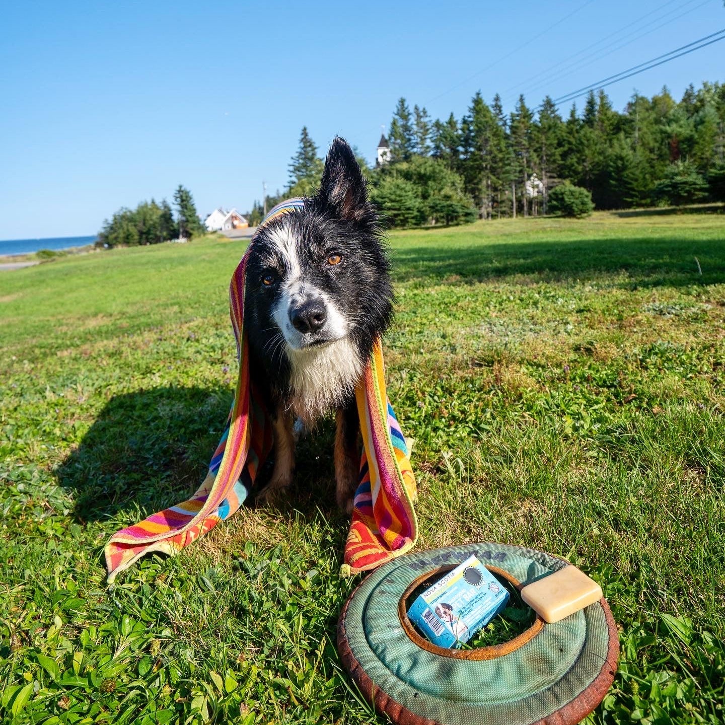 Pet Bar - Dog Shampoo Bar
