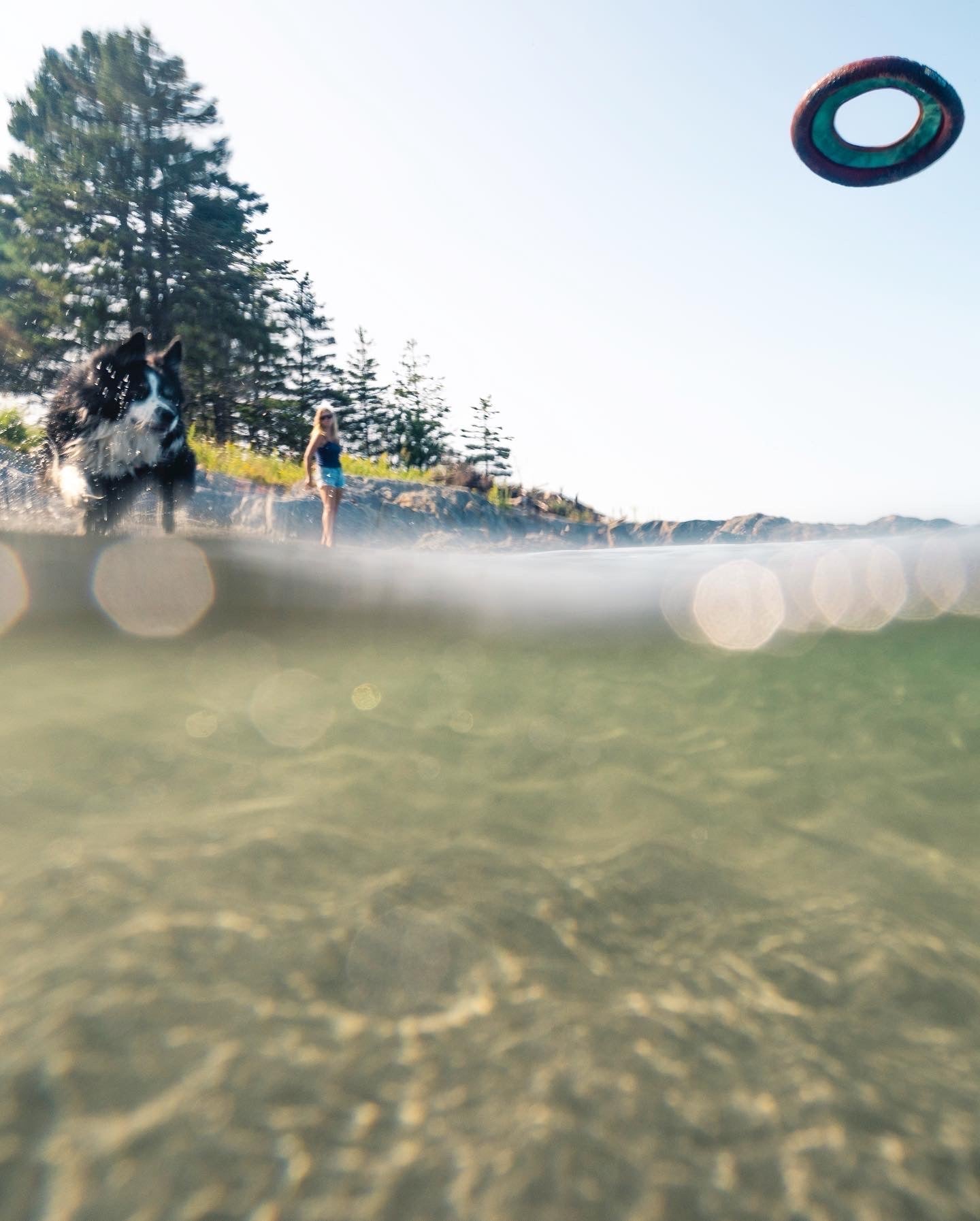 Travel Pet Bar - Dog Shampoo Bar