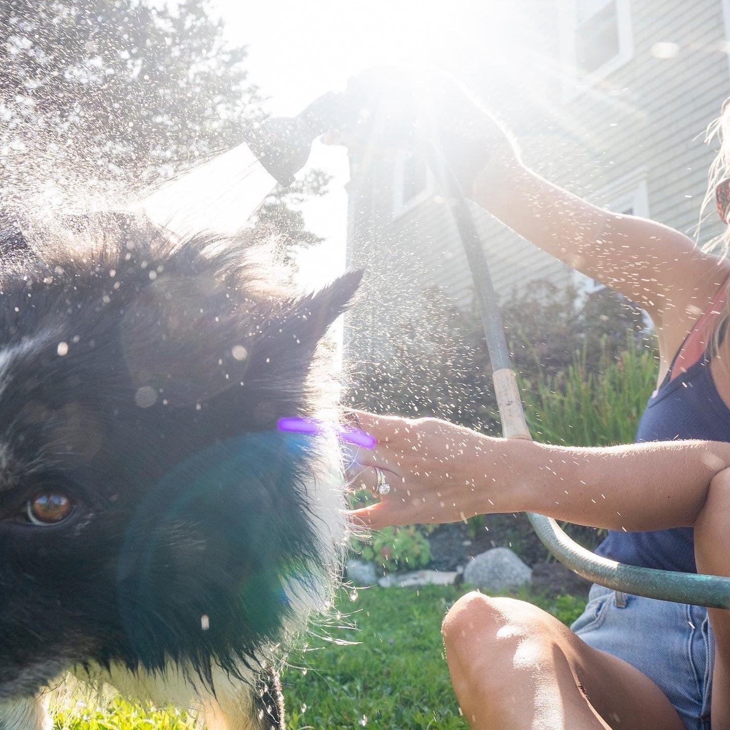 Pet Bar - Dog Shampoo Bar