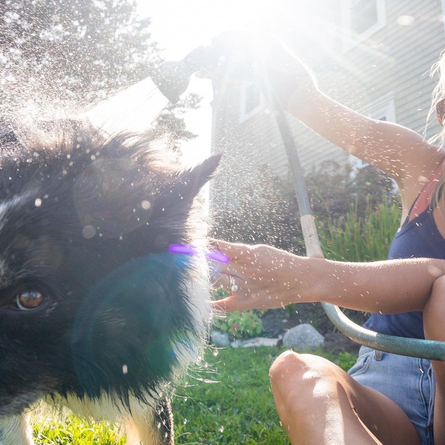 Travel Pet Bar - Dog Shampoo Bar