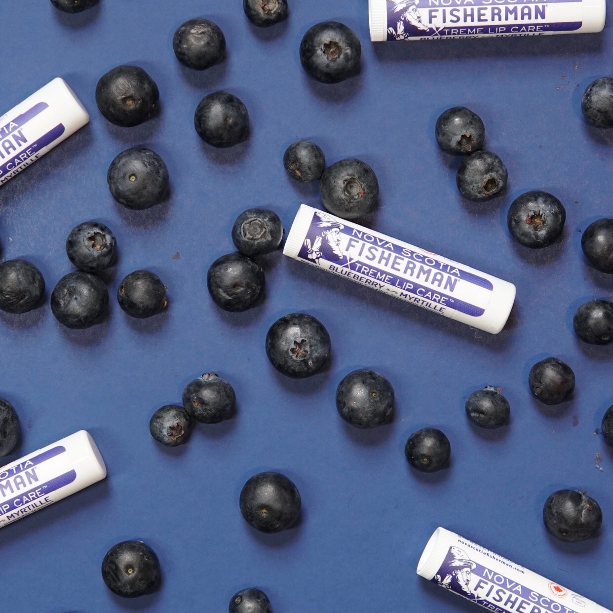 Lip Balm - Blueberry (Double Pack) - Nova Scotia Fisherman Sea Kelp Skincare