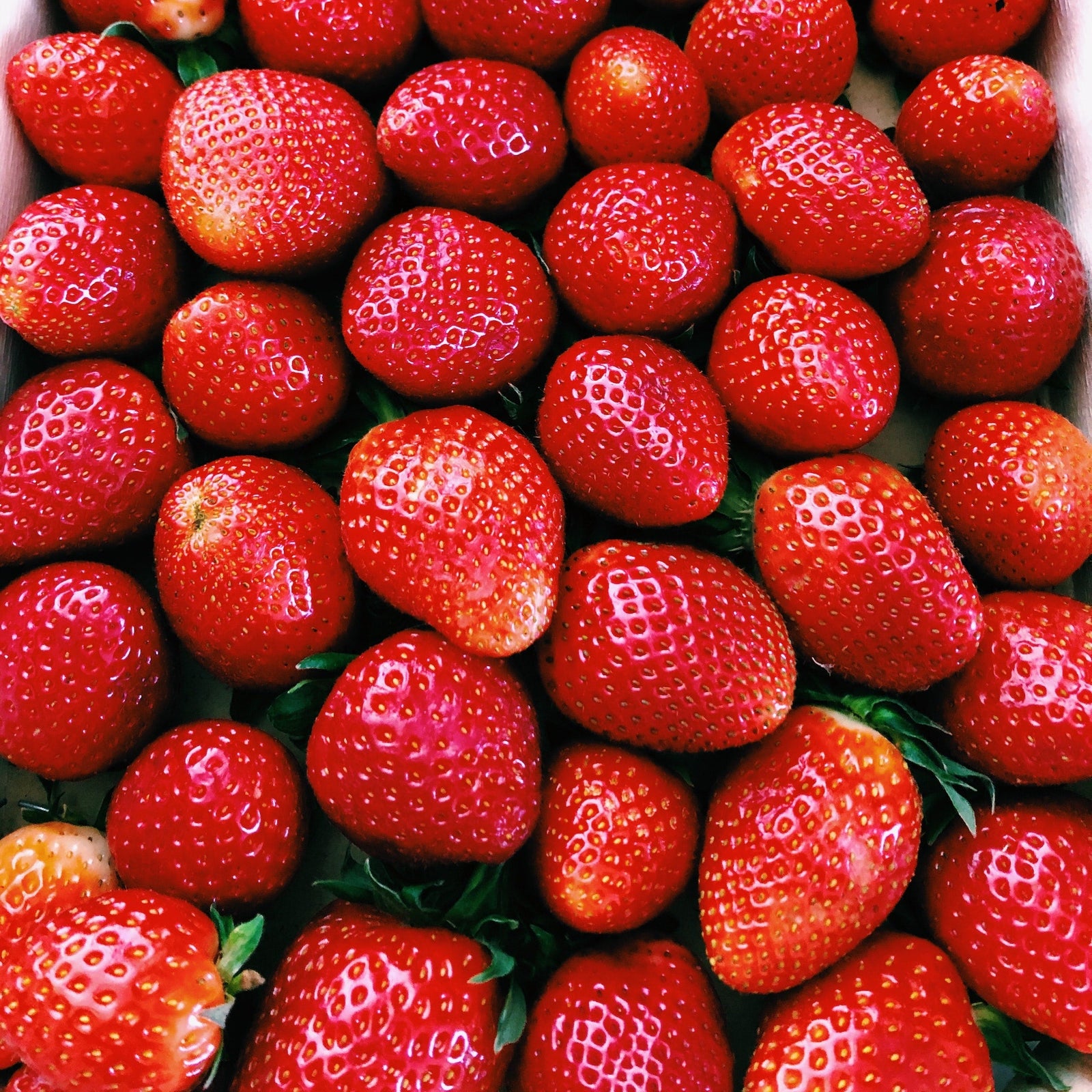 Two Pack Lip Balm - Strawberry