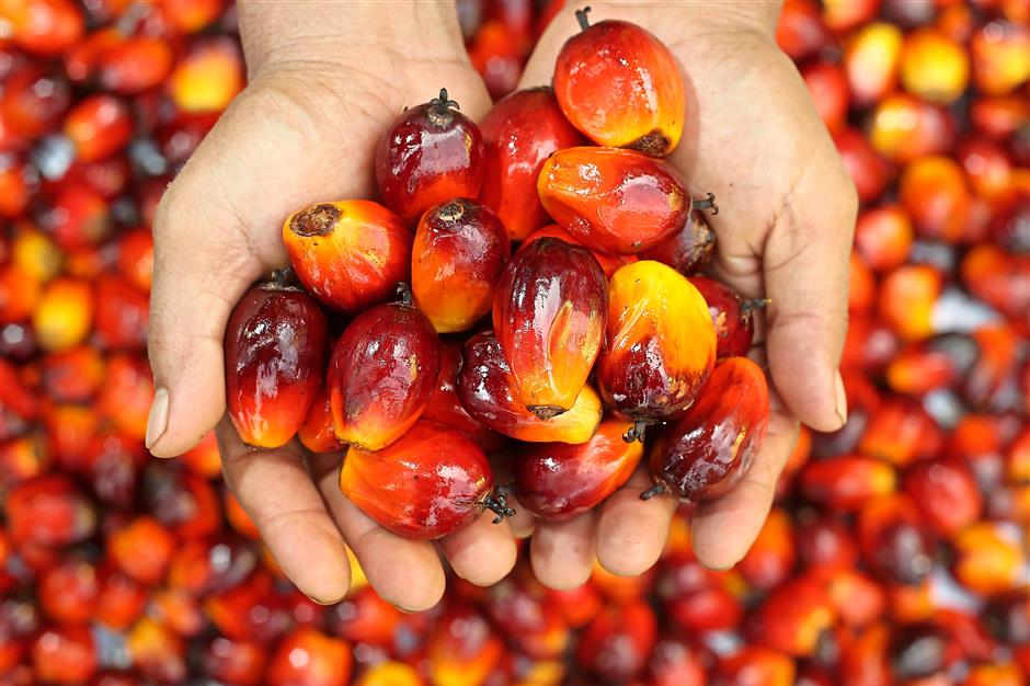What is Sustainable Palm Oil?