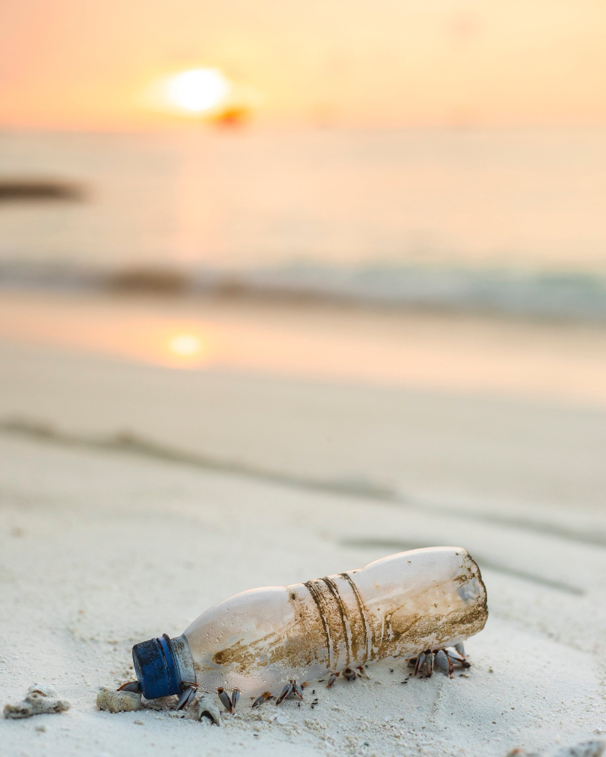 Is Bar Soap Better For The Environment? Reduce Your Use - Every Bit Counts