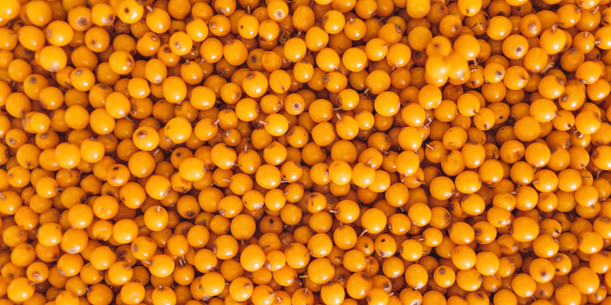 SEA BUCKTHORN SKIN CARE