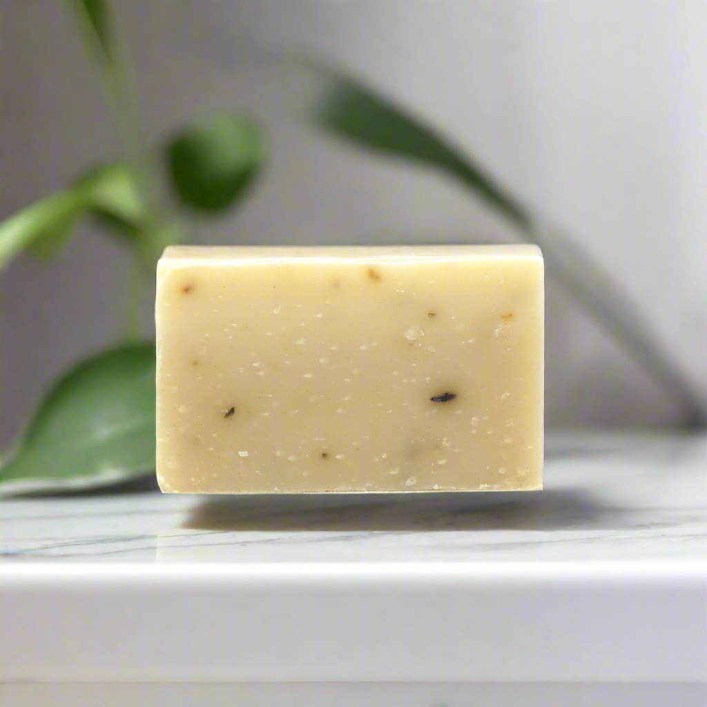 Travel Soap Bar - Fundy Clay &amp; Mint