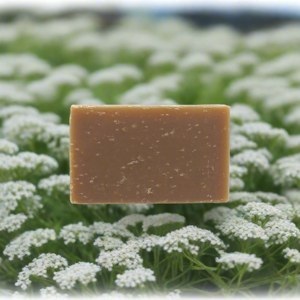 Travel Soap Bar - Sea Fennel &amp; Bayberry