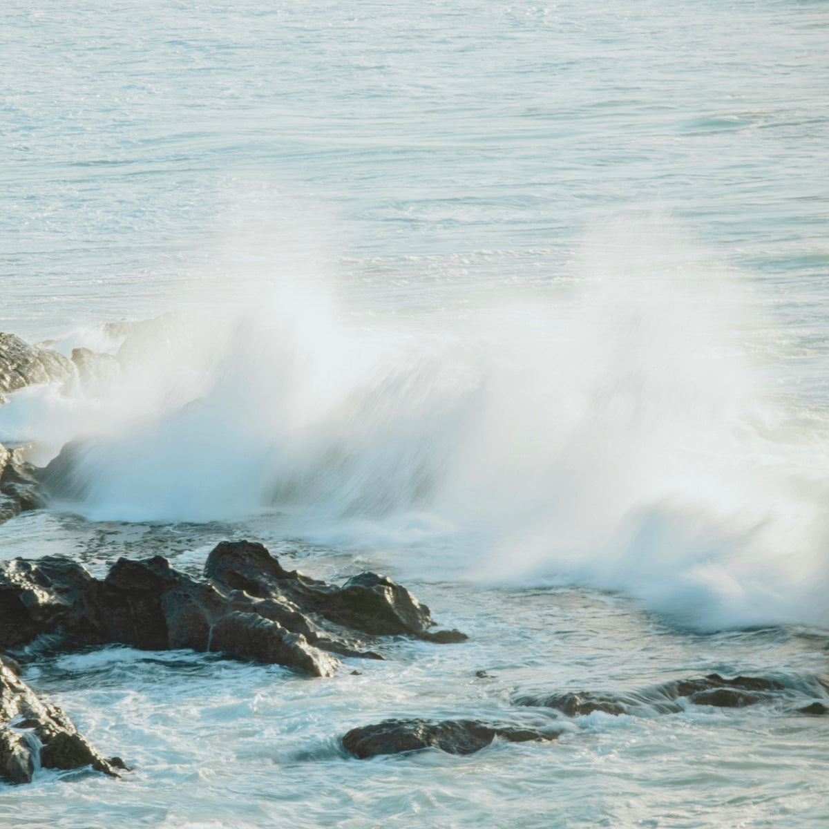 Soap Bar - Lavender &amp; Shea