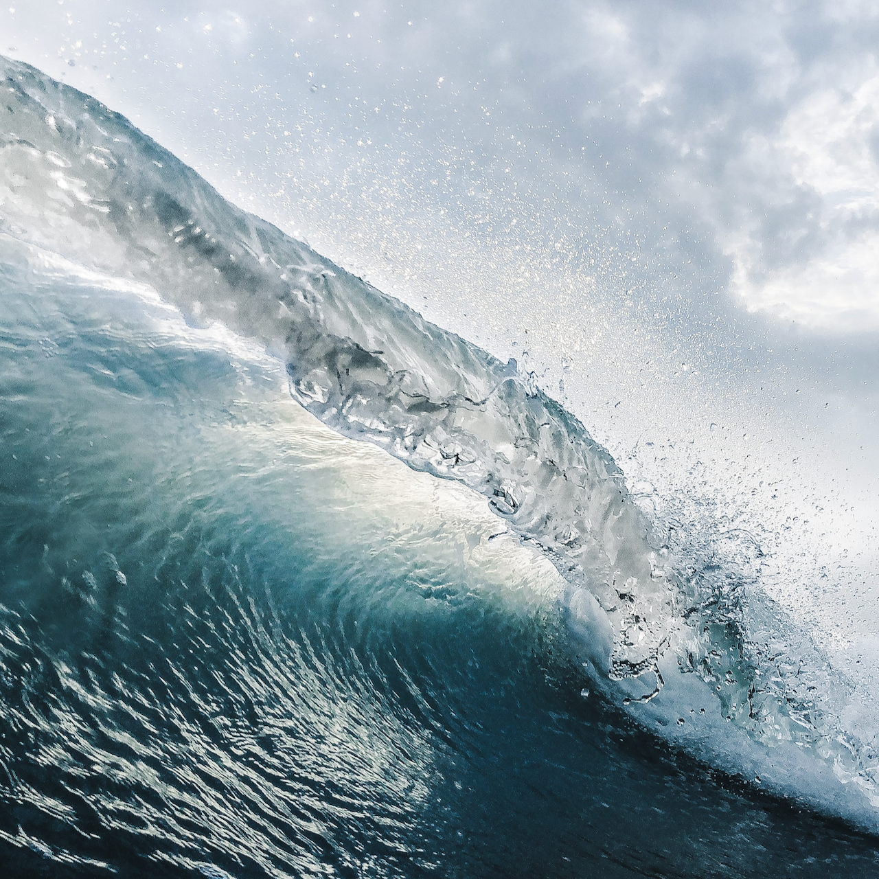 Surf's Up