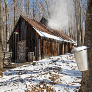 Maple Sugar Shack