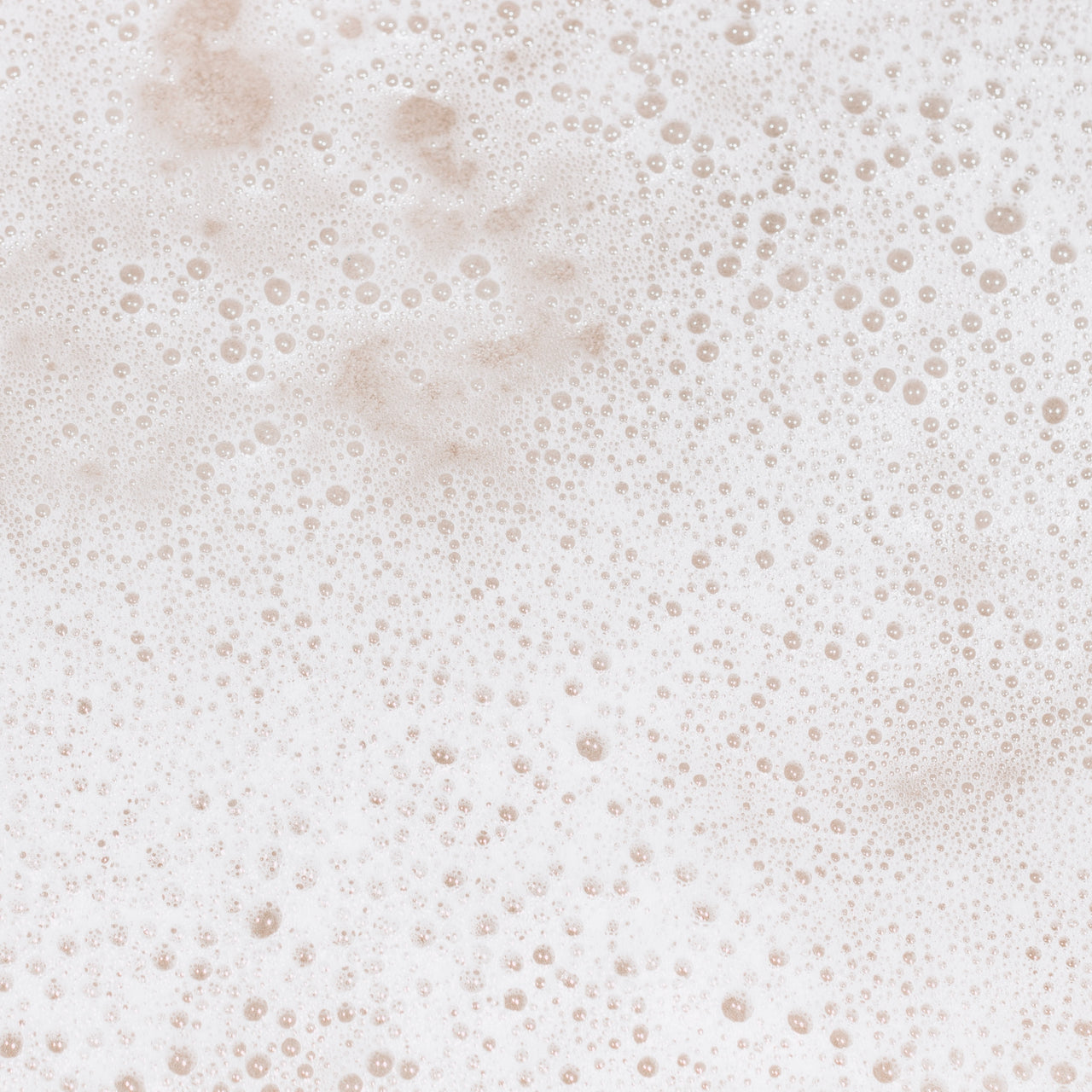 Soap Bar - Fundy Clay & Mint