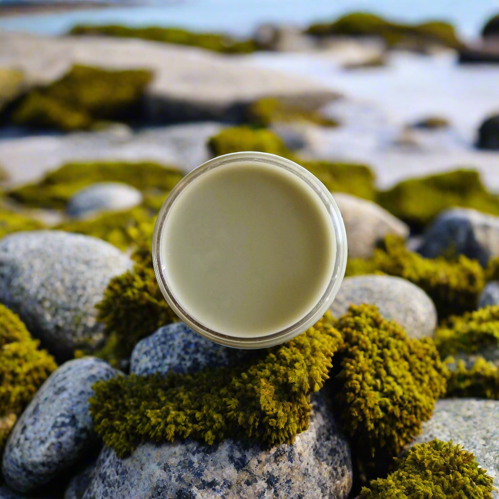 Stem to Stern Gift Pack