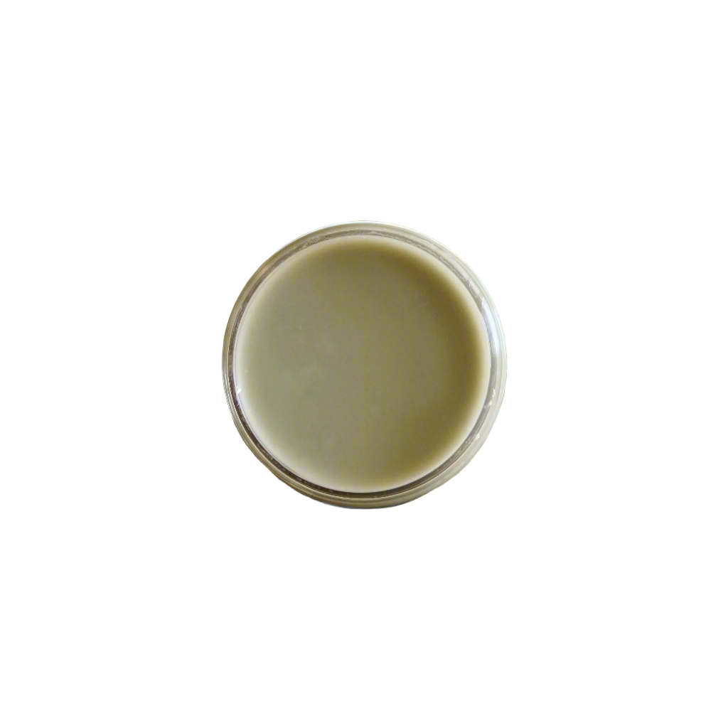 Stem to Stern Gift Set