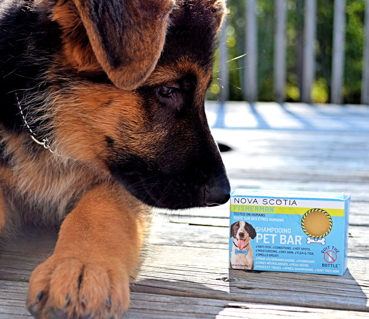 Pet Bar - Dog Shampoo Bar