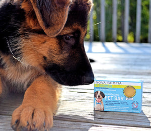 Travel Pet Bar - Dog Shampoo Bar