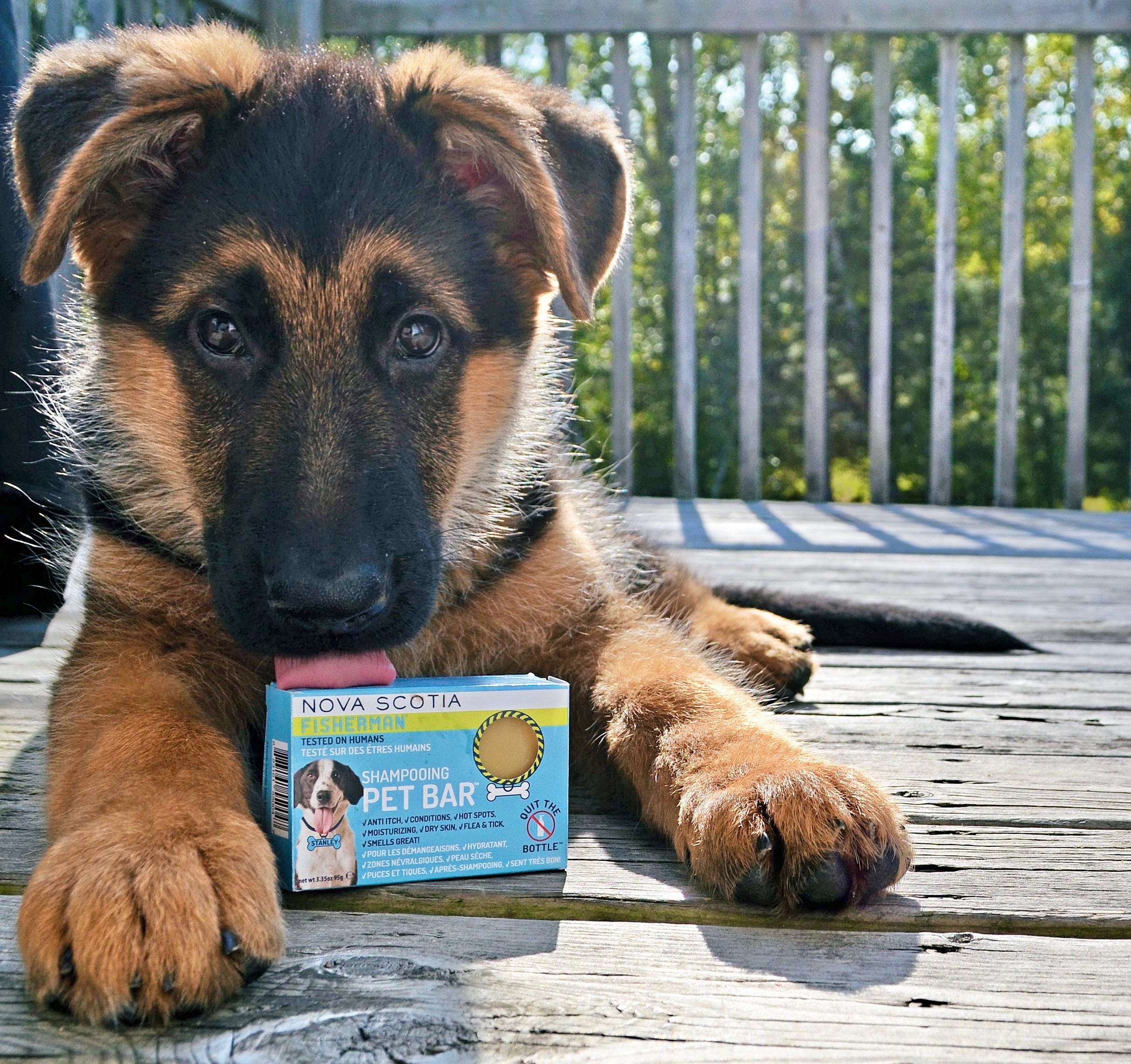 Puppy shampoo for dry skin outlet