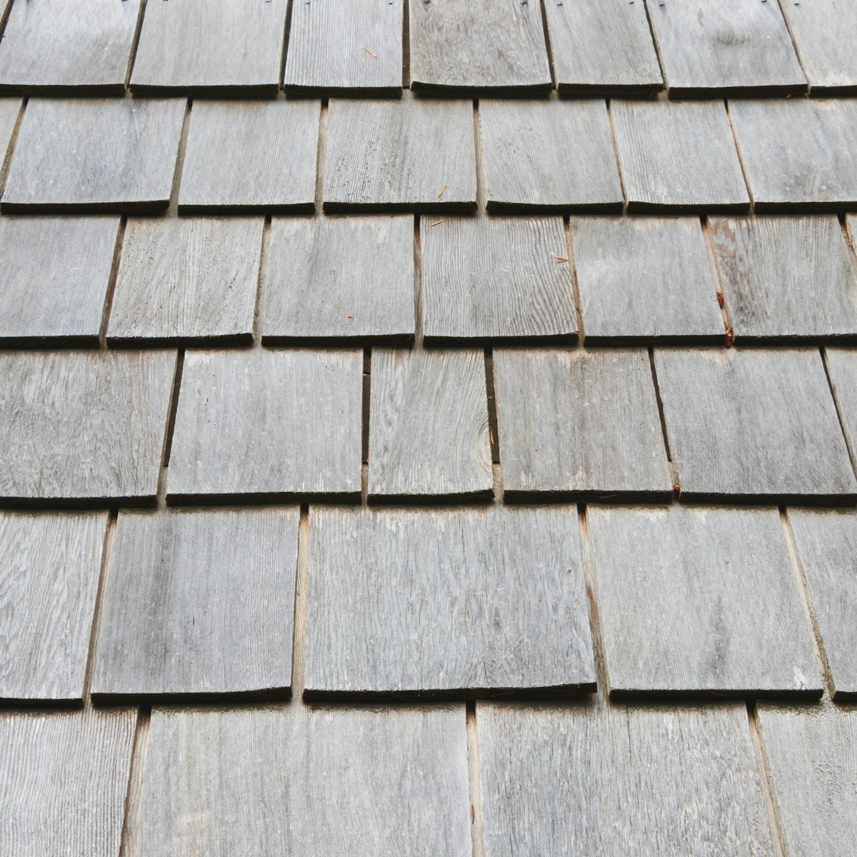 Atlantic Nor&#39;Easter