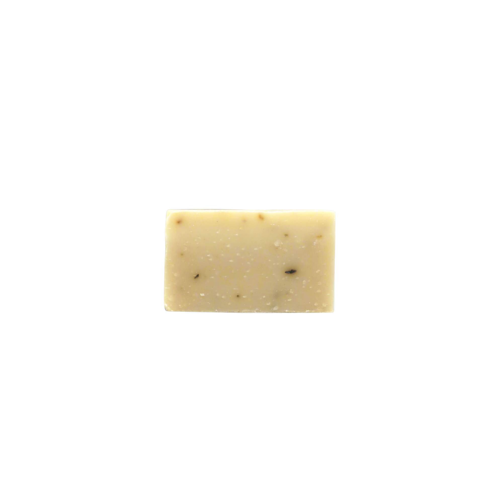 Travel Soap Bar - Fundy Clay & Mint