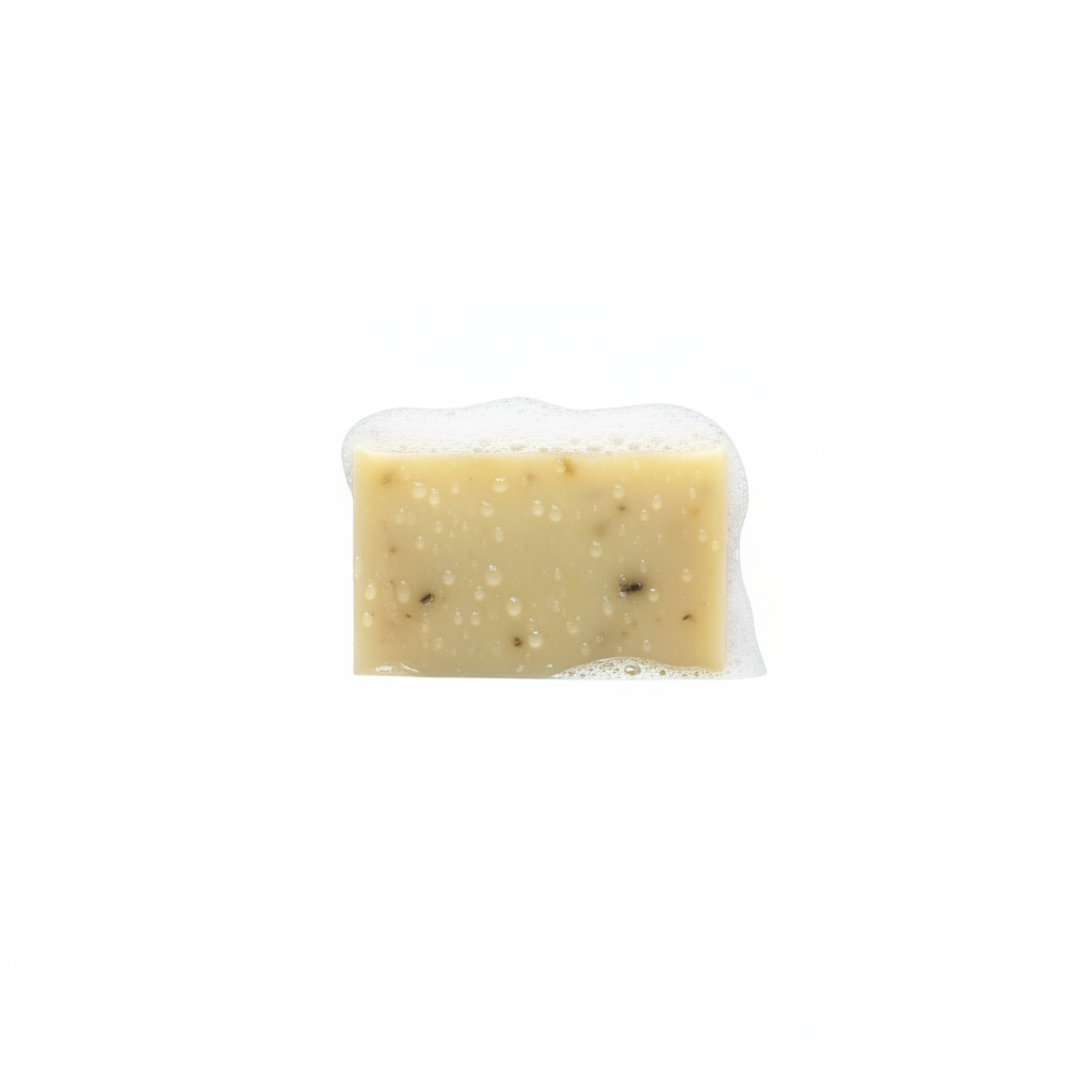 Travel Soap Bar - Fundy Clay & Mint