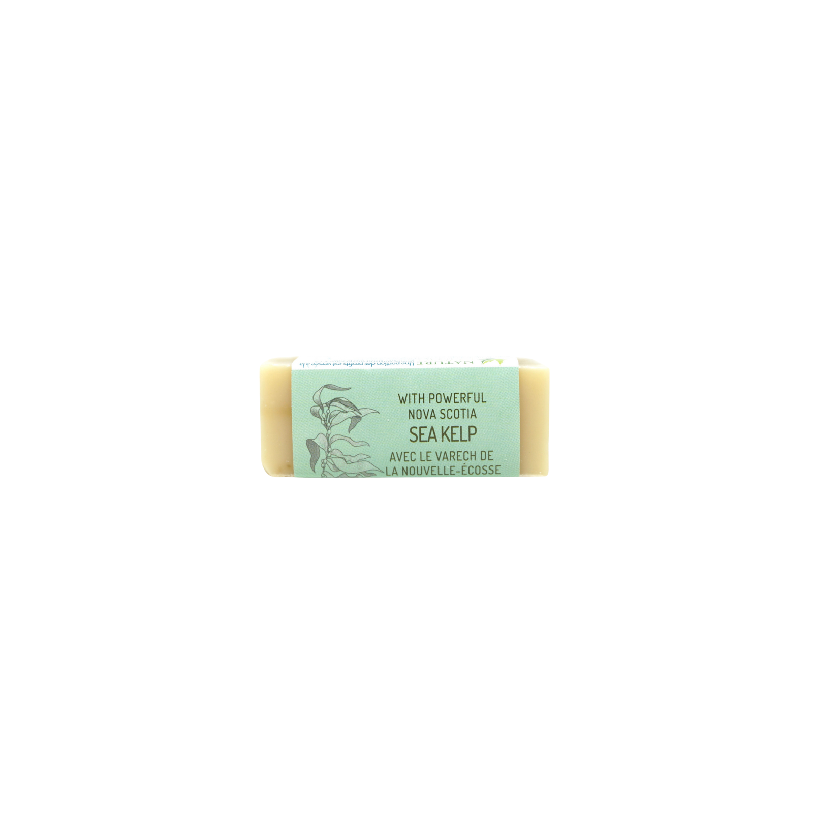 Travel Soap Bar - Fundy Clay & Mint