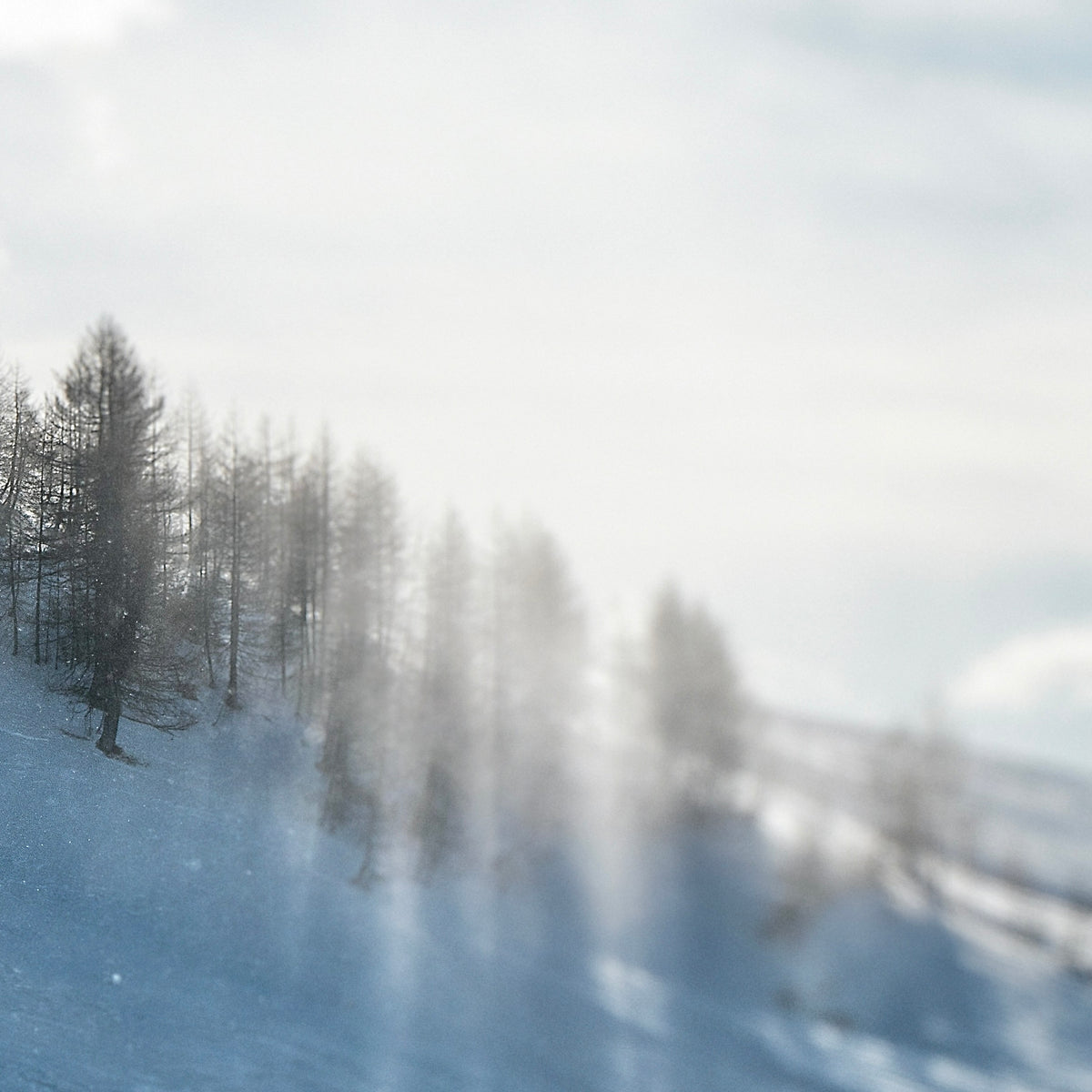 Vintage Christmas Eve