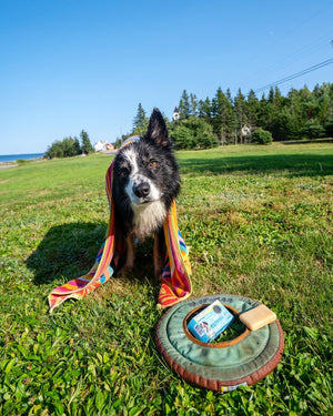 Pet Bar - Dog Shampoo Bar