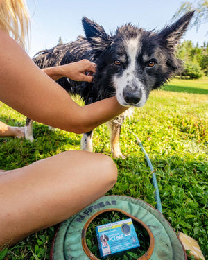 Pet Bar - Dog Shampoo Bar