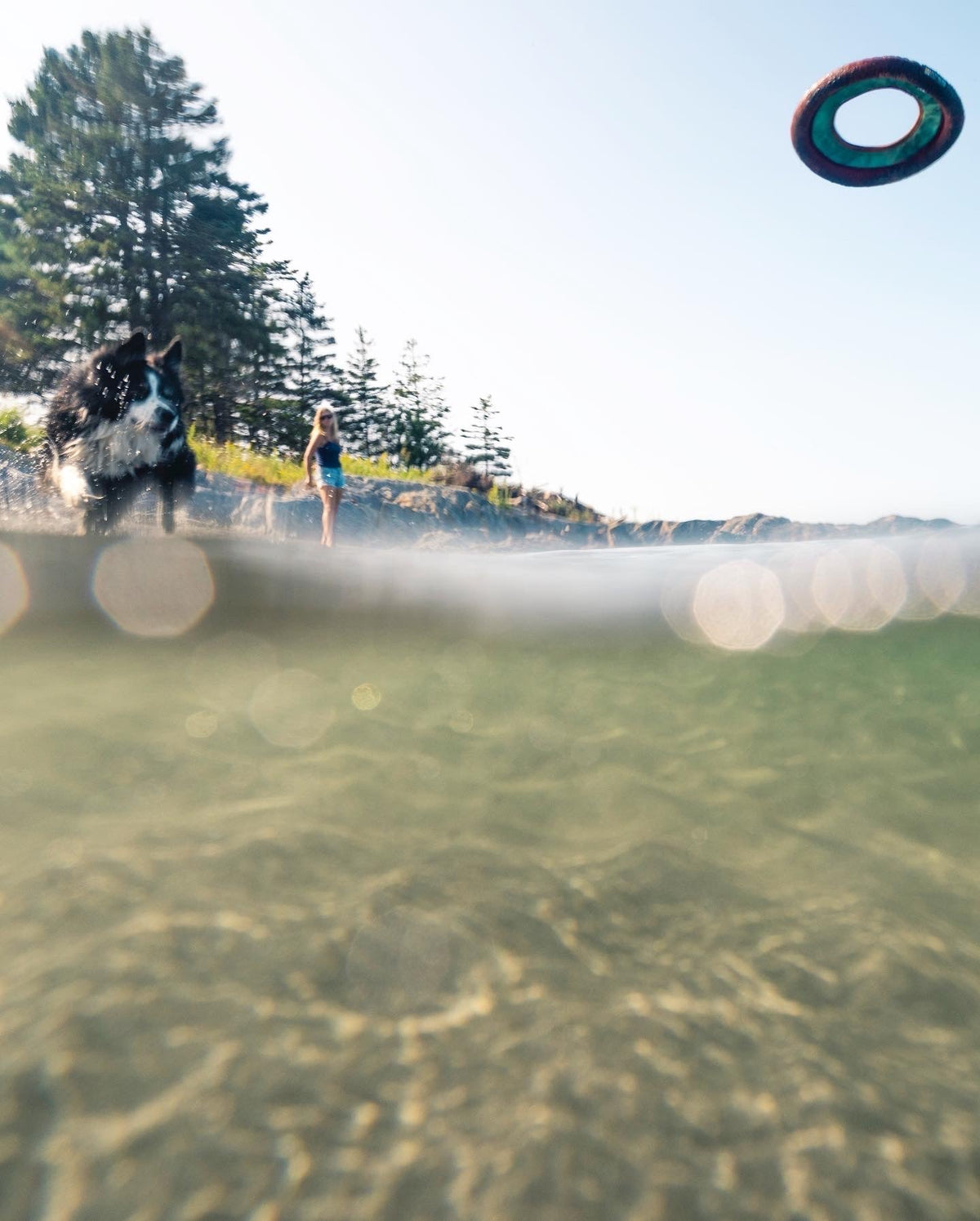 Travel Pet Bar - Dog Shampoo Bar