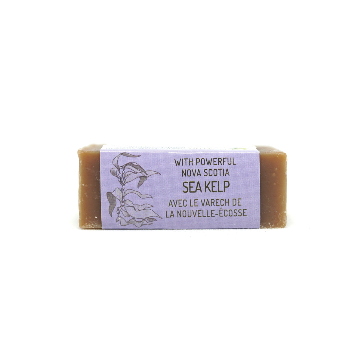 Hand &amp; Face Soap Bar - Sea Fennel and Bayberry - Nova Scotia Fisherman Sea Kelp Skincare 