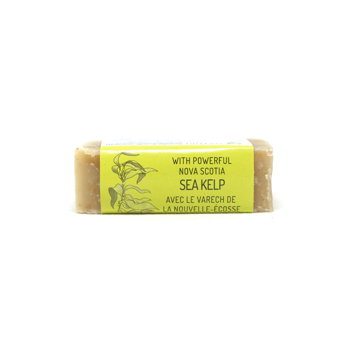 Hand &amp; Face Soap Bar -Apple Cider &amp; Cinnamon - Nova Scotia Fisherman Sea Kelp Skincare 