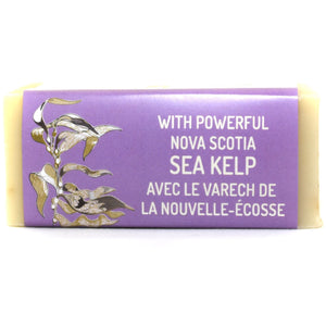 New! Body Wash Bar - Lavender & Shea - Nova Scotia Fisherman Sea Kelp Skincare 