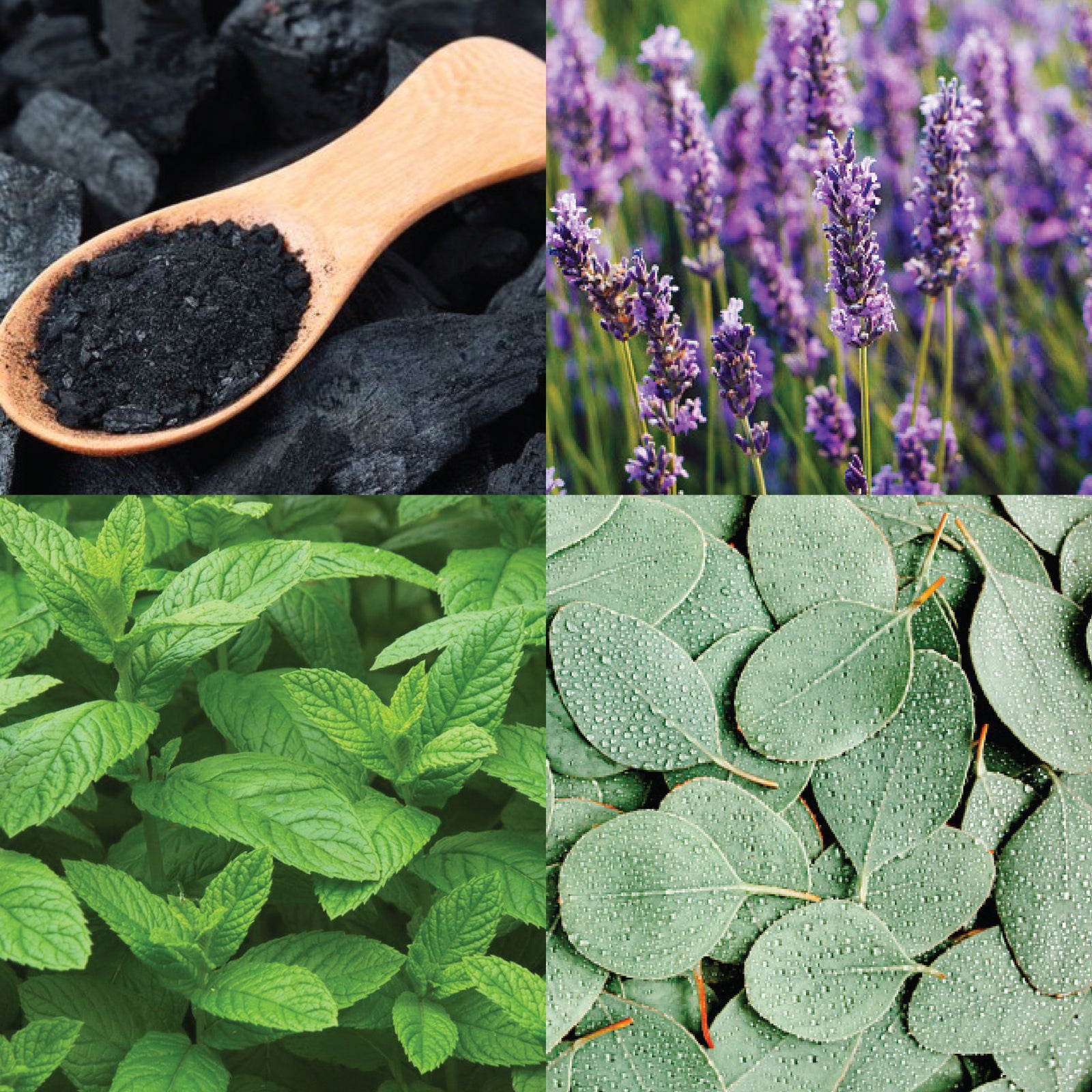 Travel Salt-N-Sea Facial Soap