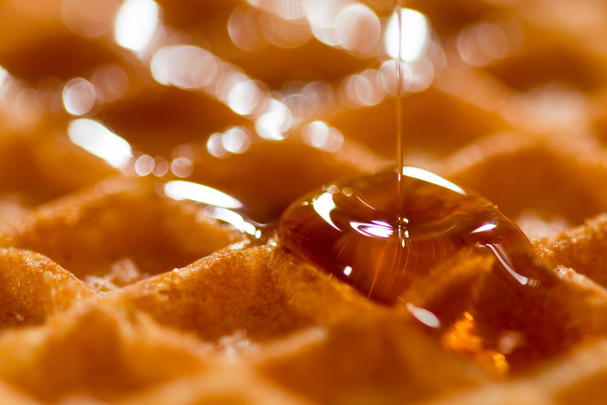 Lip Balm - Canadian Maple (Double Pack) - Nova Scotia Fisherman Sea Kelp Skincare 