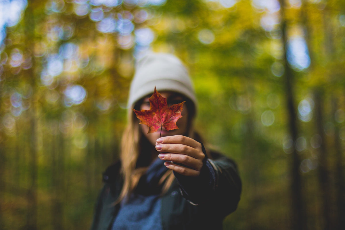 Lip Balm - Canadian Maple (Double Pack) - Nova Scotia Fisherman Sea Kelp Skincare 