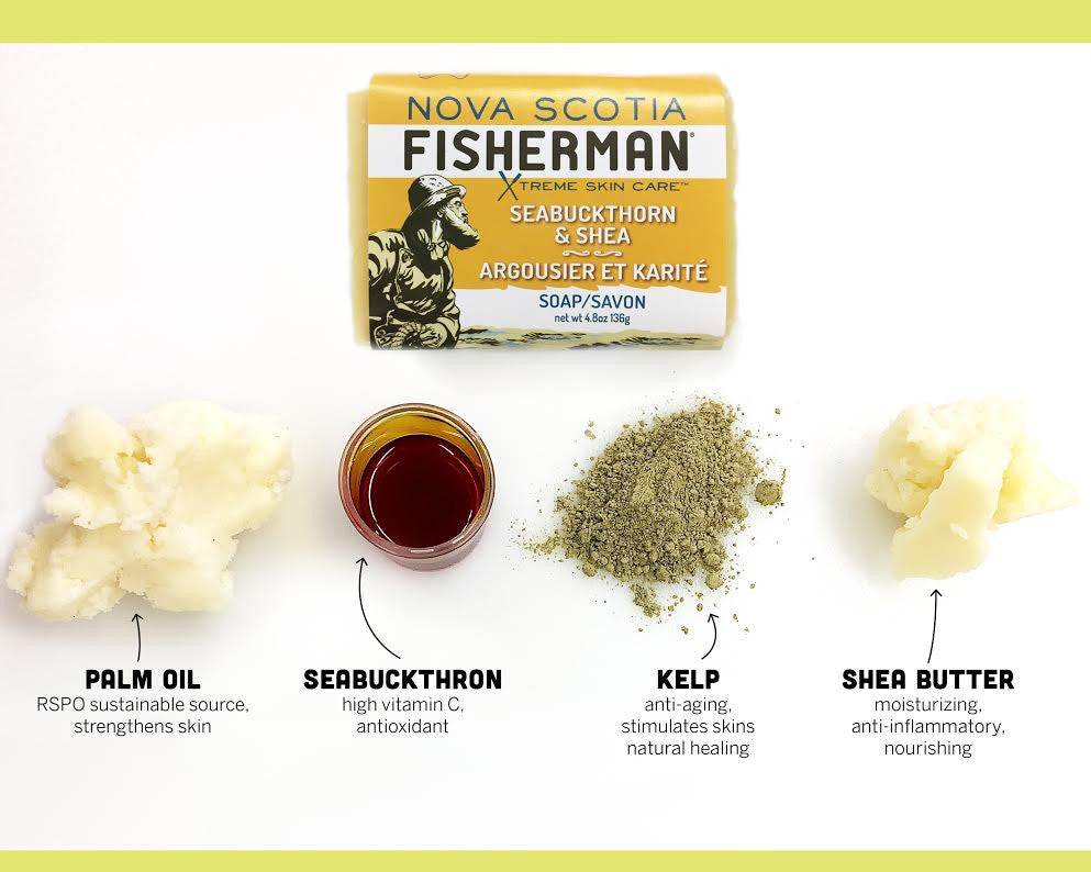 New! Body Wash Bar - Seabuckthorn and Shea - Nova Scotia Fisherman Sea Kelp Skincare 